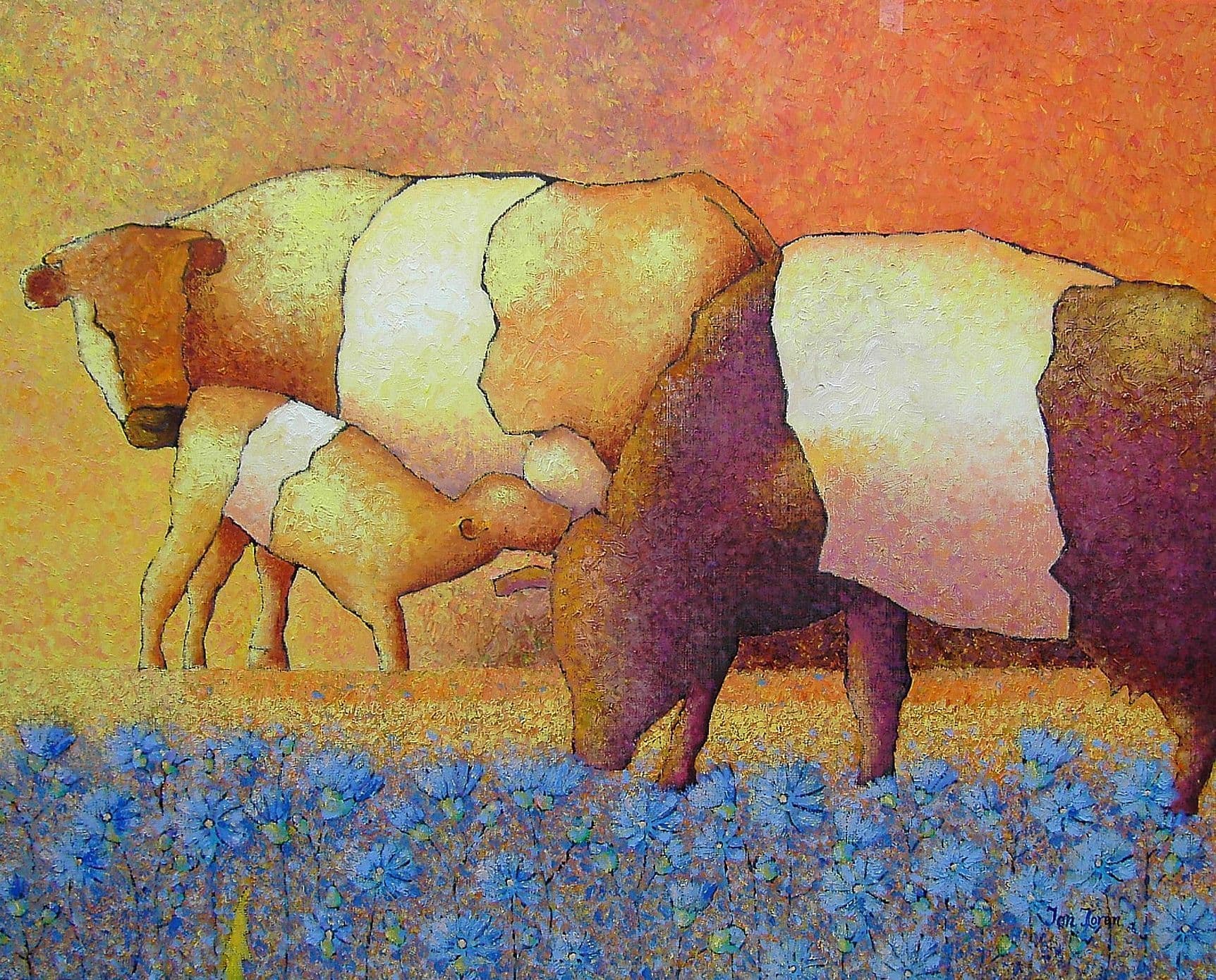 Koeien avond background